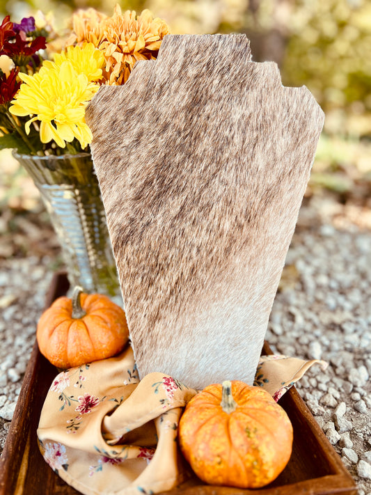 Cowhide Necklace Display