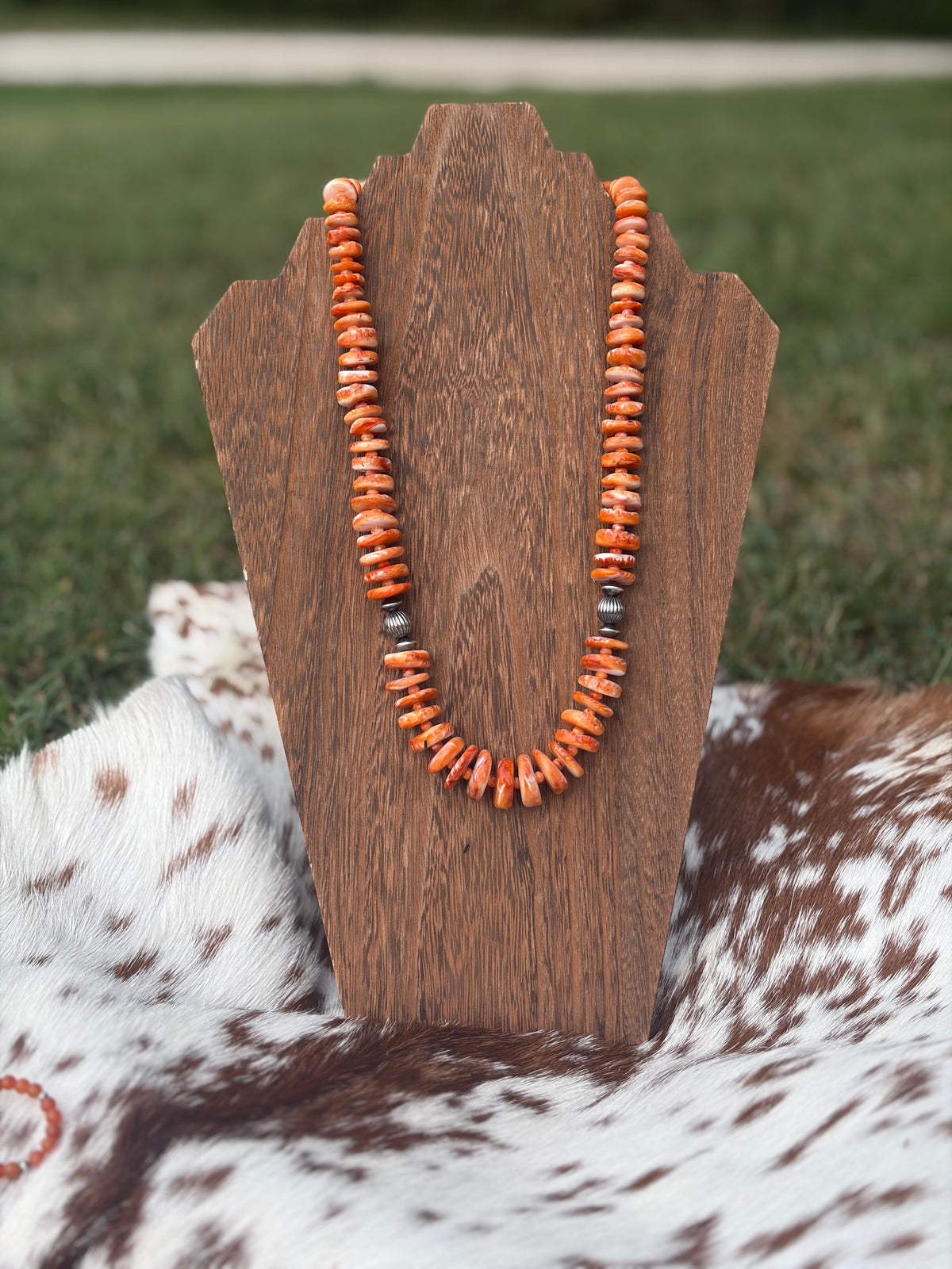 Graduated Orange Spiny Statement