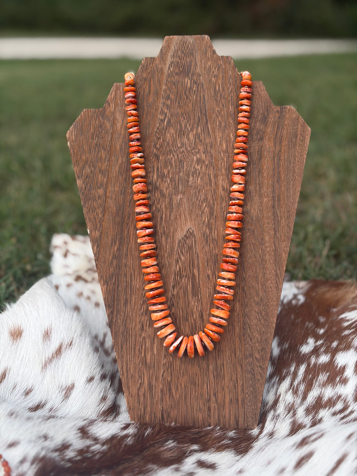Graduated Orange Spiny Statement