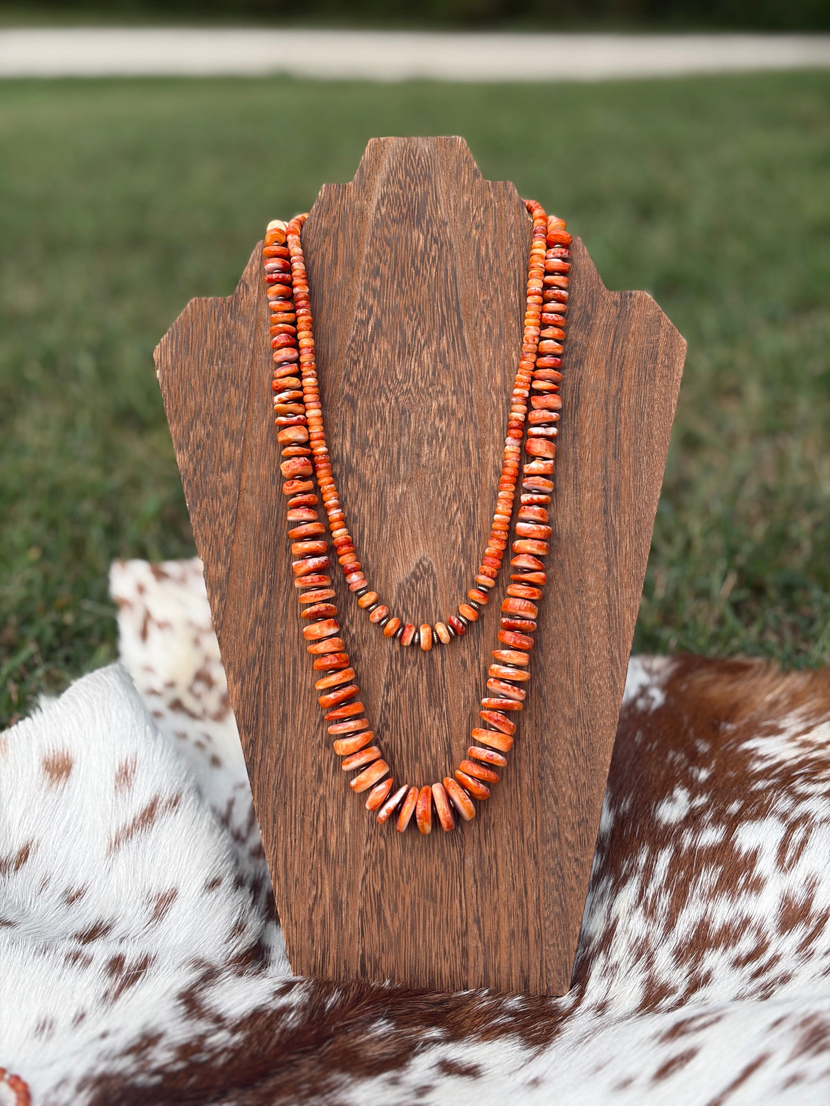 Graduated Orange Spiny