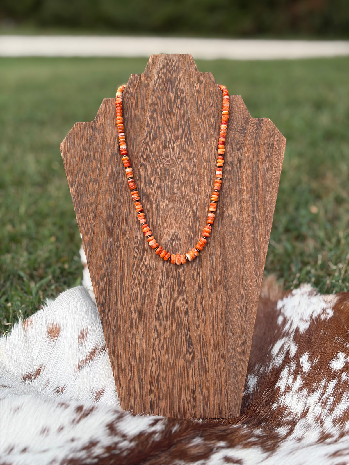 Graduated Orange Spiny